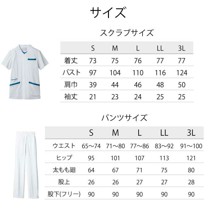 サイズはS～3Lまで